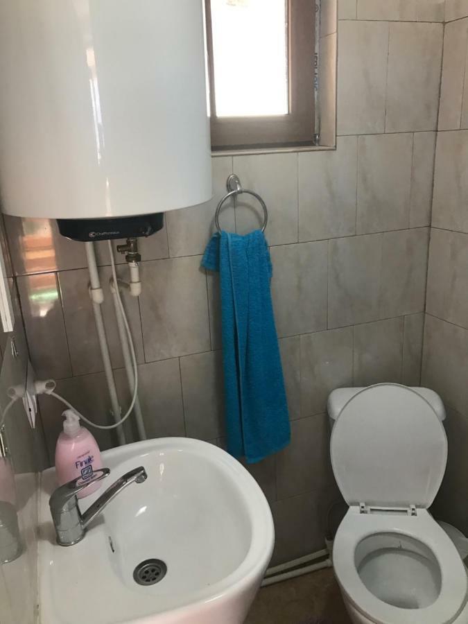 Lepşa La Rita Acasa酒店 外观 照片