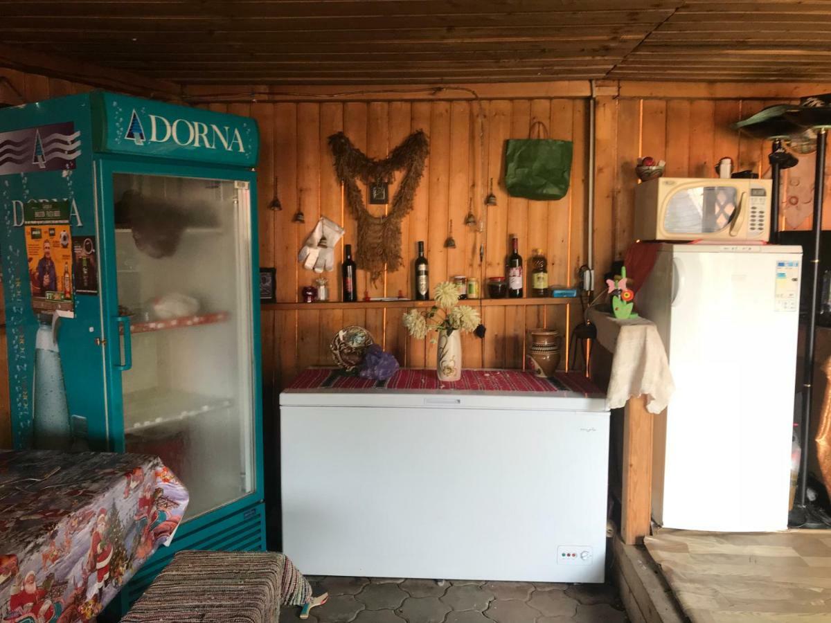 Lepşa La Rita Acasa酒店 外观 照片